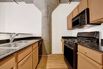 1151 W 14th Place #209, Chicago, IL 60608 - Photo 9