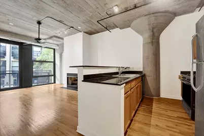 1151 W 14th Place #209, Chicago, IL 60608 - Photo 3