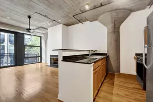 1151 W 14th Pl, Chicago, IL 60608 - Photo 3