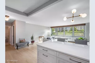 [Address not provided], Chicago, IL 60610 - Photo 11