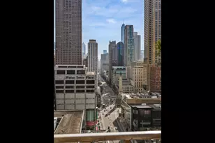 159 E Walton Pl, Chicago, IL 60611 - Photo 49