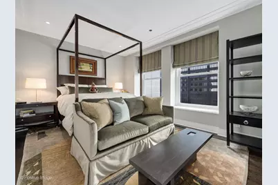 159 E Walton Place #18A, Chicago, IL 60611 - Photo 45