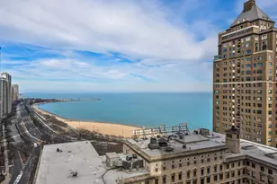 159 E Walton Pl, Chicago, IL 60611 - Photo 7