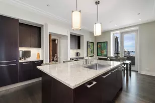 159 E Walton Pl, Chicago, IL 60611 - Photo 29