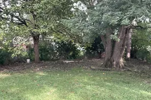 14647 Irving Ave, Dolton, IL 60419 - Photo 5