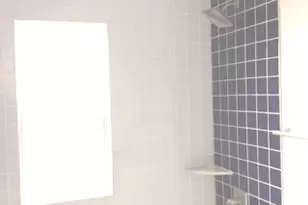 11633 S Avenue H, Chicago, IL 60617 - Photo 55