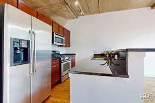 1150 W 15th St, Chicago, IL 60608 - Photo 7