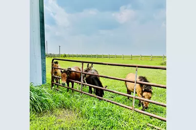 1146 N 2150th Road, Ottawa, IL 61350 - Photo 5