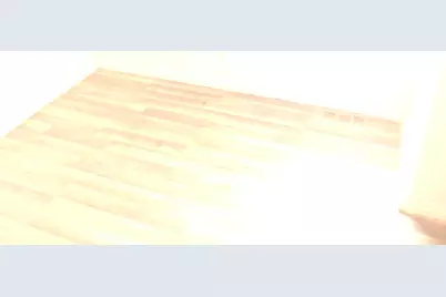 8518 S Givins Court, Chicago, IL 60620 - Photo 7