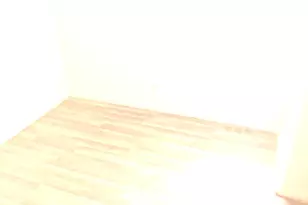 8518 S Givins Ct, Chicago, IL 60620 - Photo 7