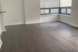 440 N Wabash Ave, Chicago, IL 60611 - Photo 23