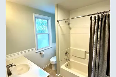 313 E George Street, Odell, IL 60460 - Photo 33