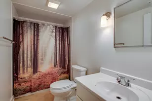 1736 Robert Ln, Naperville, IL 60564 - Photo 47