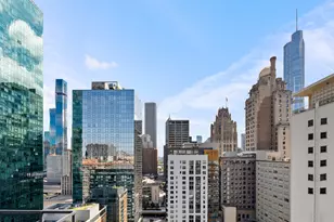 550 N St Clair St, Chicago, IL 60611 - Photo 33