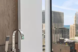 550 N St Clair St, Chicago, IL 60611 - Photo 49