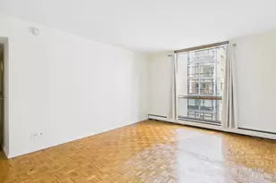 1310 N Ritchie Ct, Chicago, IL 60610 - Photo 31