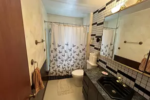 194 S Collins St, South Elgin, IL 60177 - Photo 11