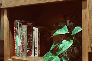 405 Wesley Ave, Savoy, IL 61874 - Photo 91