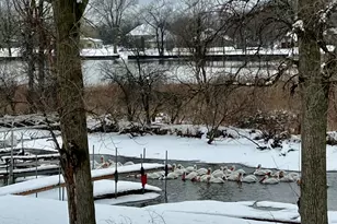 28986 W Manitoba Trail, McHenry, IL 60051 - Photo 41