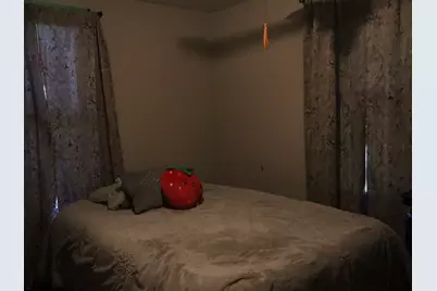 509 W Grant Street, Streator, IL 61364 - Photo 9