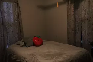 509 W Grant St, Streator, IL 61364 - Photo 9