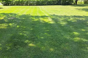 2317 S 13000E Rd, Hopkins Park, IL 60958 - Photo 15