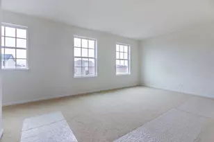 933 Willow Rd, Manteno, IL 60950 - Photo 17