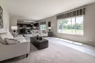 901 Willow Rd, Manteno, IL 60950 - Photo 9