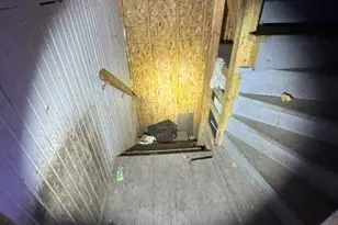 7119 S Emerald Ave, Chicago, IL 60621 - Photo 27