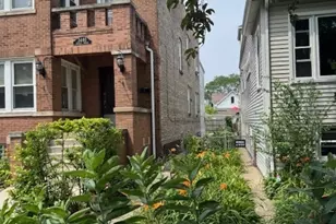 3438 N Hamlin Ave, Chicago, IL 60618 - Photo 31