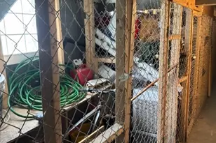 3438 N Hamlin Ave, Chicago, IL 60618 - Photo 17