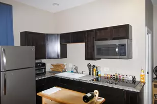 815 S Bell Ave, Chicago, IL 60612 - Photo 33