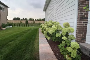 4215 Chinaberry Ln, Naperville, IL 60564 - Photo 43