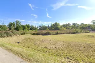 14029 Cokes Rd, Homer Glen, IL 60491 - Photo 1