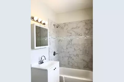 6847 S Indiana Avenue, Chicago, IL 60637 - Photo 9