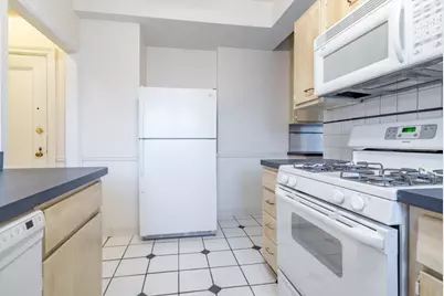 5000 S Cornell Avenue #3A, Chicago, IL 60615 - Photo 13