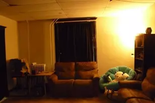 233 N 1st St, Carthage, IL 62321 - Photo 3