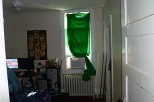 233 N 1st St, Carthage, IL 62321 - Photo 21