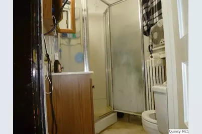 233 N First Street, Carthage, IL 62321 - Photo 11