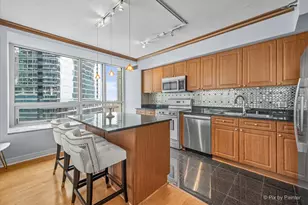 512 N McClurg Ct, Chicago, IL 60611 - Photo 13