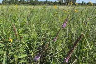 10502 Seaman Rd, Hebron, IL 60034 - Photo 25