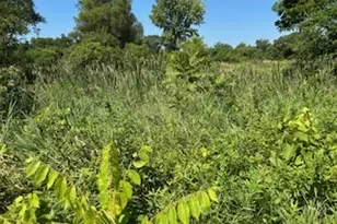 10502 Seaman Rd, Hebron, IL 60034 - Photo 21