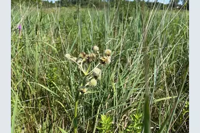 10502 Seaman Road, Hebron, IL 60034 - Photo 23