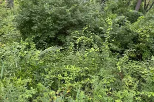 10 Chateau Dr, West Dundee, IL 60118 - Photo 1