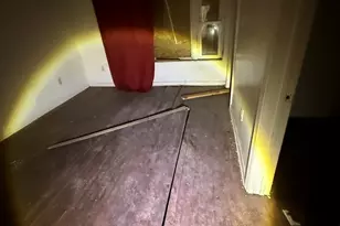 8417 S Escanaba Ave, Chicago, IL 60617 - Photo 7