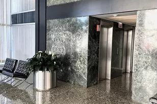 910 N Lake Shore Dr, Chicago, IL 60611 - Photo 3