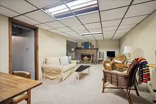 1014 S Grace St, Mount Prospect, IL 60056 - Photo 27