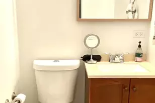 1820 S Throop St, Chicago, IL 60608 - Photo 13