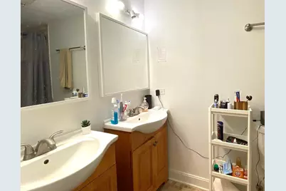 1820 S Throop Street #1F, Chicago, IL 60608 - Photo 11