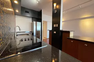 175 E Delaware Pl, Chicago, IL 60611 - Photo 9